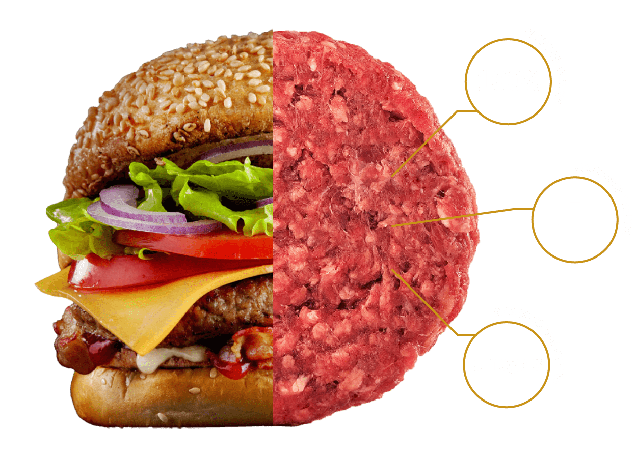 Composición Burger Gourmet